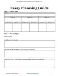 Essay Planning Guide Graphic Organizer