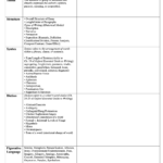 Style and Rhetorical Appeals Graphic Organizer